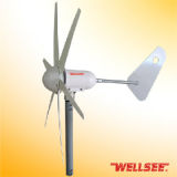 Wellsee Wind Turbine (WS-WT400W)