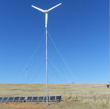 Independent Power System Wind Turbine Generator 3000W for Residential