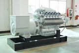 Hot Sale German Man 335kw Biogas Engine/ Man Natural Gas Engine/Original German Man Gas Generator