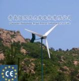 Horizontal Axis Wind Power Generator for Villa 2000W Green Energy