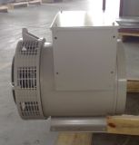 31.3kVA/25kw Alternator Brushless AC Generator (FD1G)