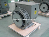 Twg Brushless Generator (TWG) Copper Winding Alternator