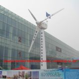 Grid Tied 20kw Wind Turbine Generator for Farm