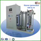 1kg/H Sewage Depth Processing Ozone Generator
