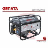3000W Home Generator / Small Gasoline Generator (GR4000)