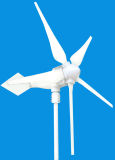 2014 New Type 5 Blades 12V/24V 800W Small Wind Turbine for Homes Road