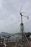 1500W Wind Mill Generator Used by All House
