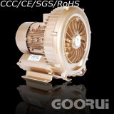 3HP Goorui 3-Phase Side Channel Vacuum Pump