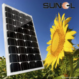 40W Mono Solar Panel/ Module (SNM-M40(36))