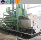 Lvhuan Power Water Cooled Hot Sale Biogas Generator 300kVA