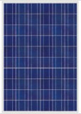 Polycrystalline Solar Module Ksm-260W-60PCS