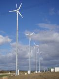 20kw Wind Turbine Generator (WH-20000) 