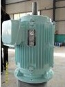 40kw High Effciency Permanent Magnet Generator/Wind Generator