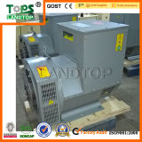TOPS 10kw/12kVA Copy Stamford Generator Alternator for Sale