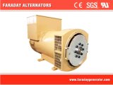 Faraday Alternator 100% Copper Wires IP23 H Class Brushless Electric Generator 400kVA/320kw Fd4lp