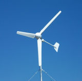 Wind Power Generator Set 1000W for Household