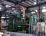 Hot Selling Coal Gas Power Generating Plant with CHP