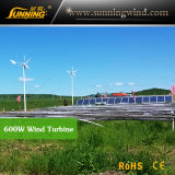 Residential Wind Generator 600W Maglev Wind Turbine Home Use