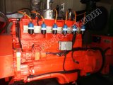 250kw/312kVA Cummins Gas Engine Generator with CE/Soncap/CIQ Certifications