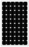 Mono Crystalline Solar Panel/Solar Module/Cell Module-245W