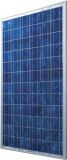 Poly Solar Panel (SNM-P200- 240WP)