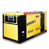 Diesel Silent Generator Sets (RY-G1)