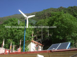 1kw Wind Turbine System Use for Home
