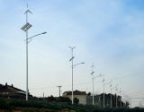 Wind Solar Hybrid LED Street L System LED Lamp System