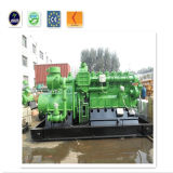 CE & ISO Approved 700kw Natural /Biogas/ Biomass Gas Generator with LPG, LNG, CNG, Methane Water-Cooled