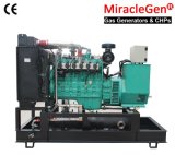 6-600kw Biogas Generator with Heat Recovery System/ CHP