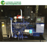 World Wide Parts Supply Chinese Brand Natural Gas Generator