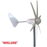 300W Wellsee 6 Leaves Wind Turbine/ Horizontal Axis Wind Turbine (WS-WT)