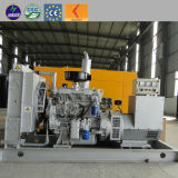 CE Approved 10kw-1000kw Gas Power Coal Natural Gas Generator