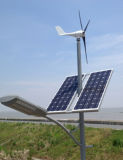600W Horizontal Wind Power Generator/ Windmill Generator