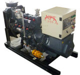 CE Approved 30kw Natural Gas/Biogas Generator (30GFT)
