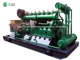 Perkins CNG Power Generator Set