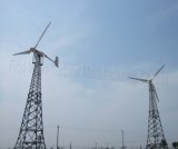 on-Grid or off-Grid Wind Turbine (WH-20000) 
