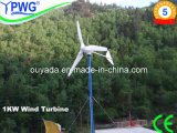 1kw Pitched Controlled China High Efficiency Wind Turbine