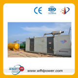 Dual Fuel Generator with Natural Gas and Diesel