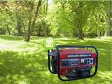 110V/220V 2000W Petrol Generator (LB2600)