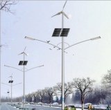 Wind & Solar Power Generator for LED Street Light (SP-WSR002)