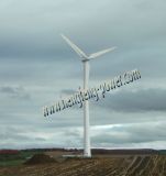 50kw Pitch Controlled Wind Turbine CE Certificate and ISO9001