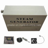 Home Horizontal Steam Sauna Generator (TR003S-H)