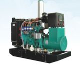 50kw Googol Water Cooled Emergency Gas Generator