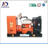 Camda 30kw/37.5kVA Coal Gas Generator (KDGH)