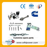 Lovol Engine Spare Parts