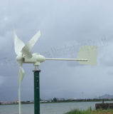 750w Mini Wind Turbine (WK-750) 