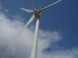 50kw HAWT Wind Turbine Generator (Horizontal Axis Wind Turbine)