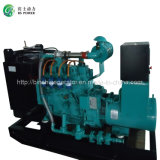 CNG Power Generator Set (50kw)