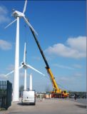 30kw Wind Power Generator